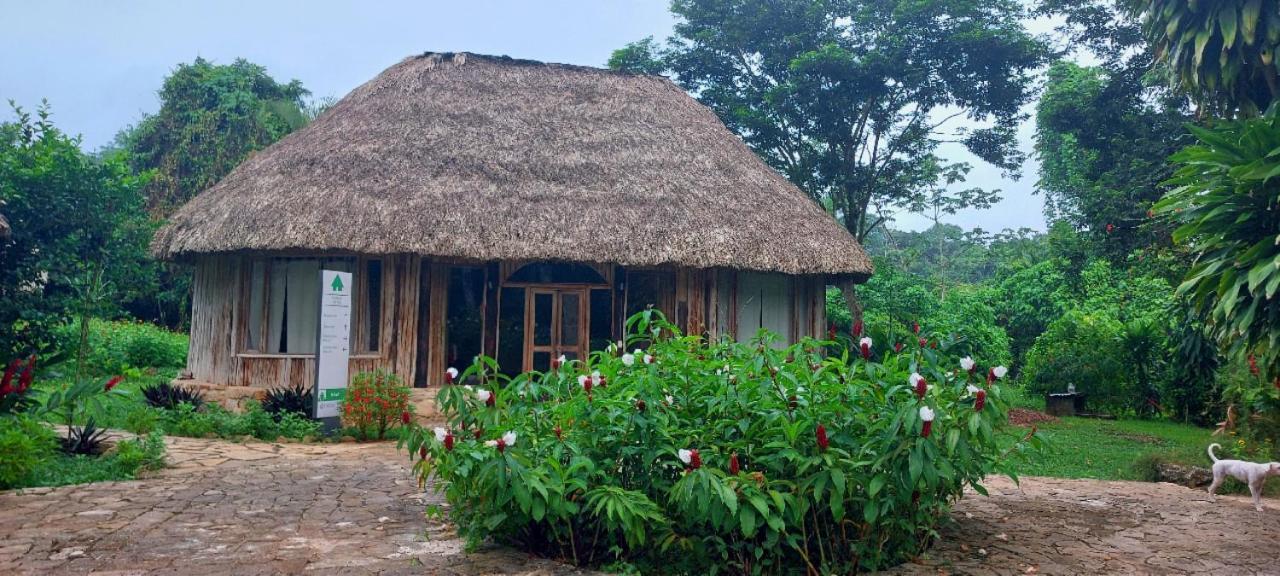 Eco Hotel Sak Nok Lacanja Екстер'єр фото